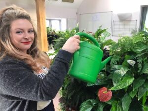 The office staff keep the plants healthy and watered.