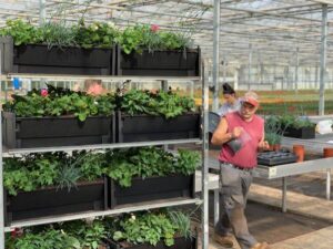 PlantBox vertical planters ready for Nightingale