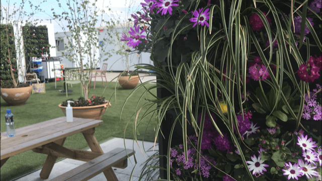 Flower and lawn at the Nightingale Garden