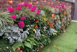 side on shot of a living wall