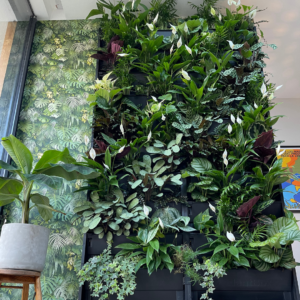 an indoor living wall
