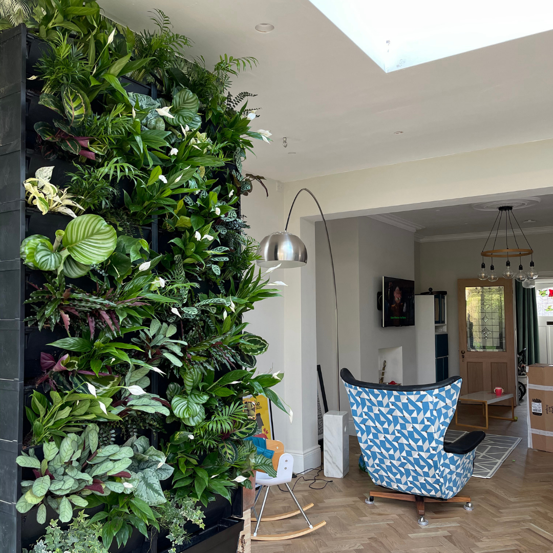 PlantBox indoor living wall houseplants 