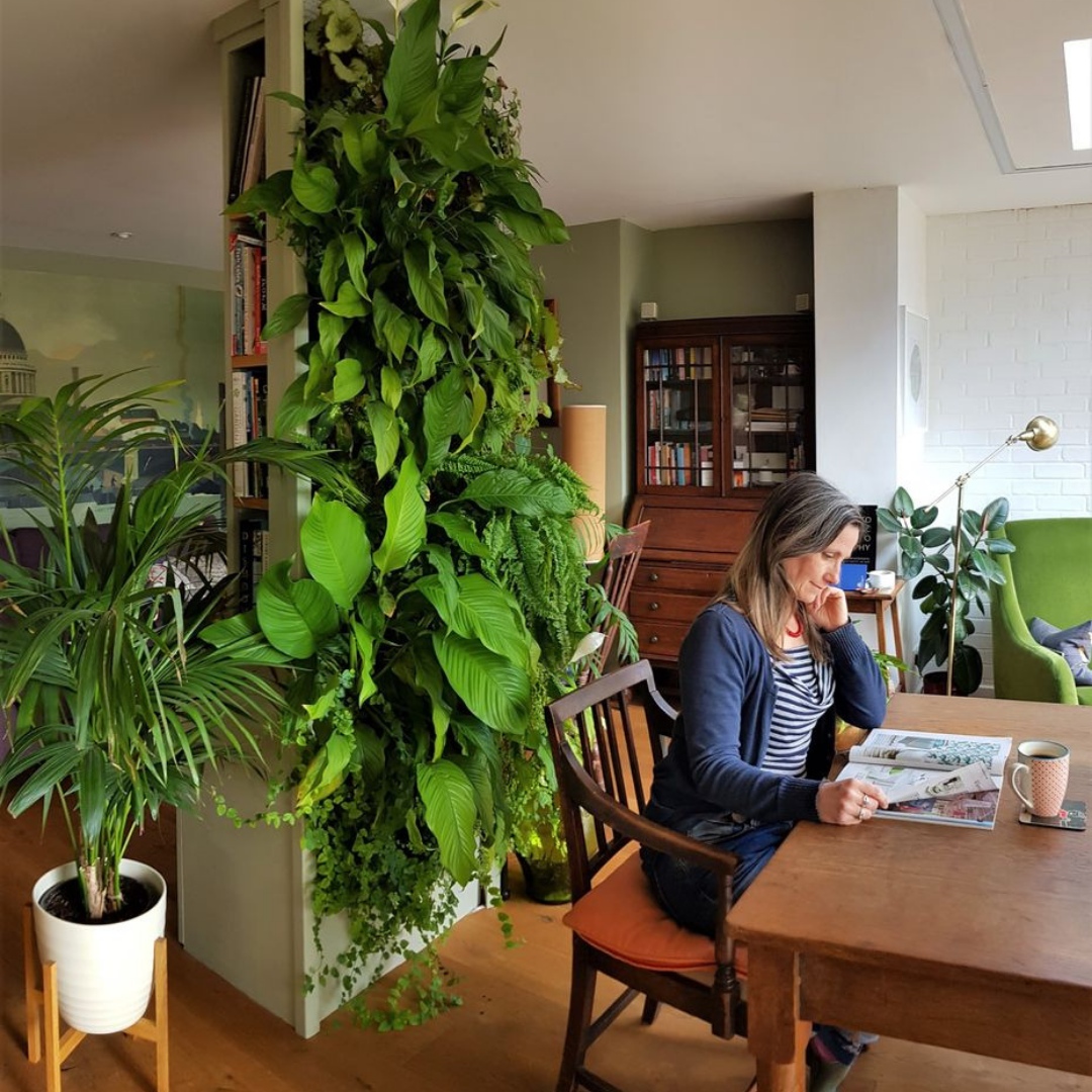 Indoor living wall health benefits