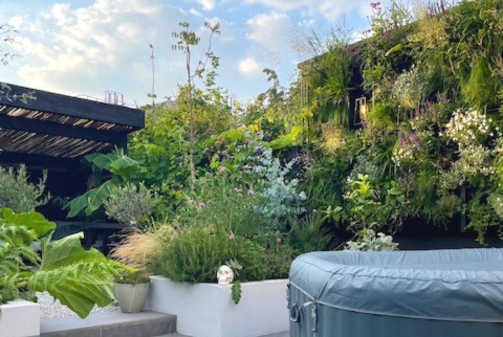 A House Like This living wall
