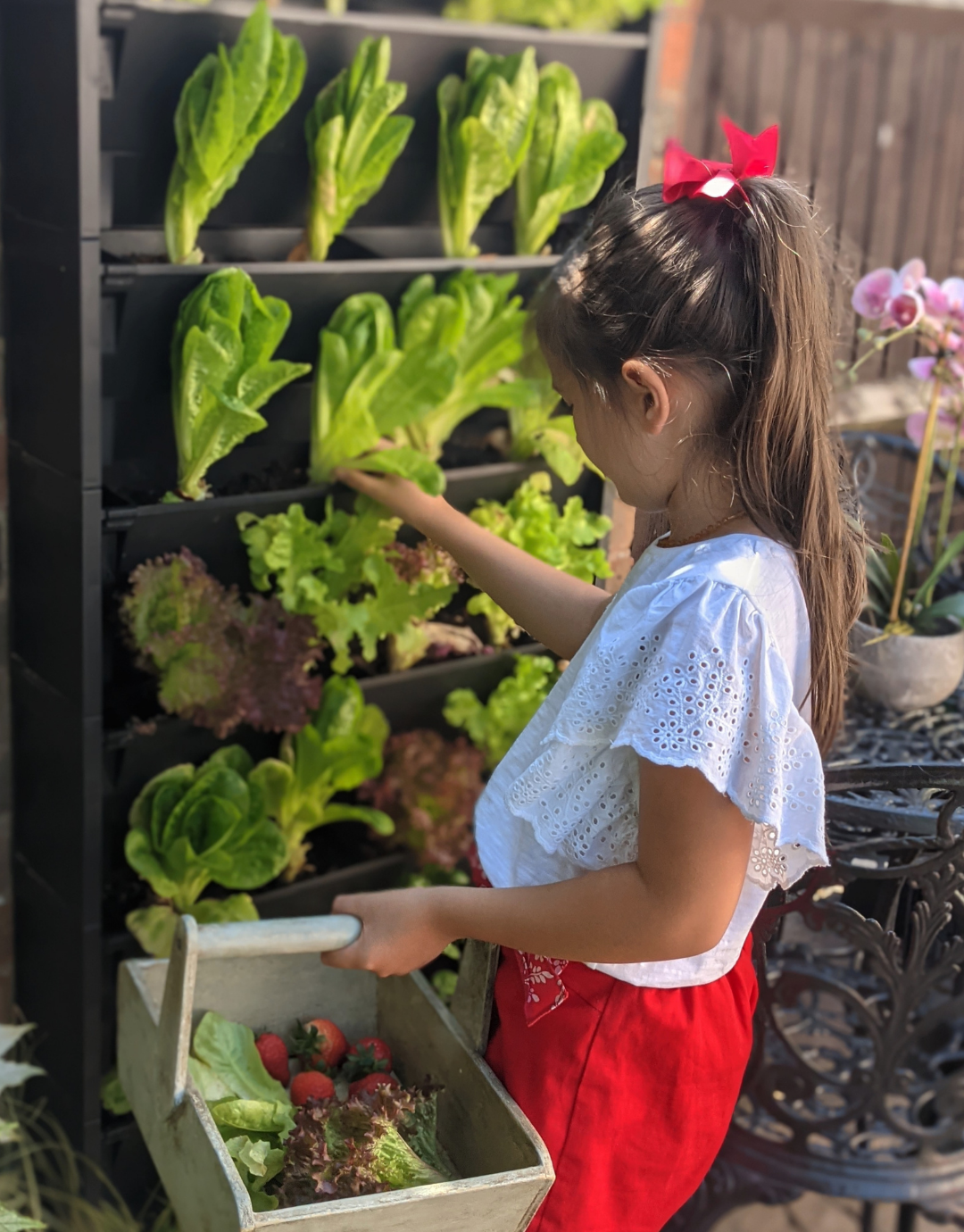 a young girl growing salad in a living wall