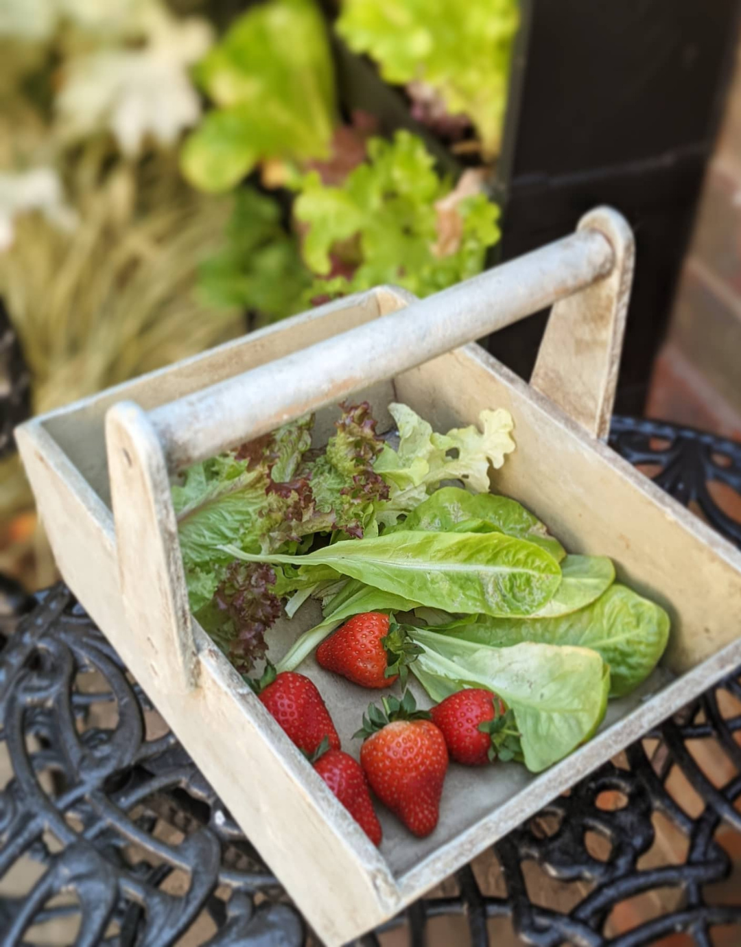 close up of home-grown strawberries and salad in a basket