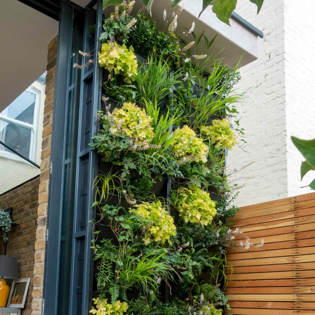 a living wall
