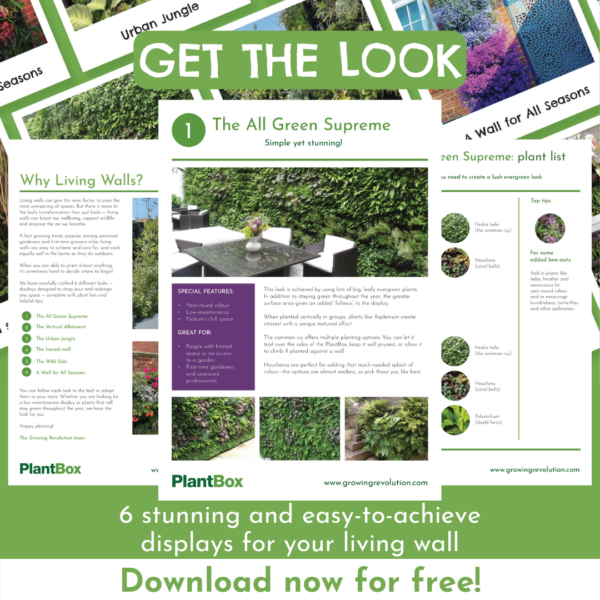 a free guide to creating living wall displays