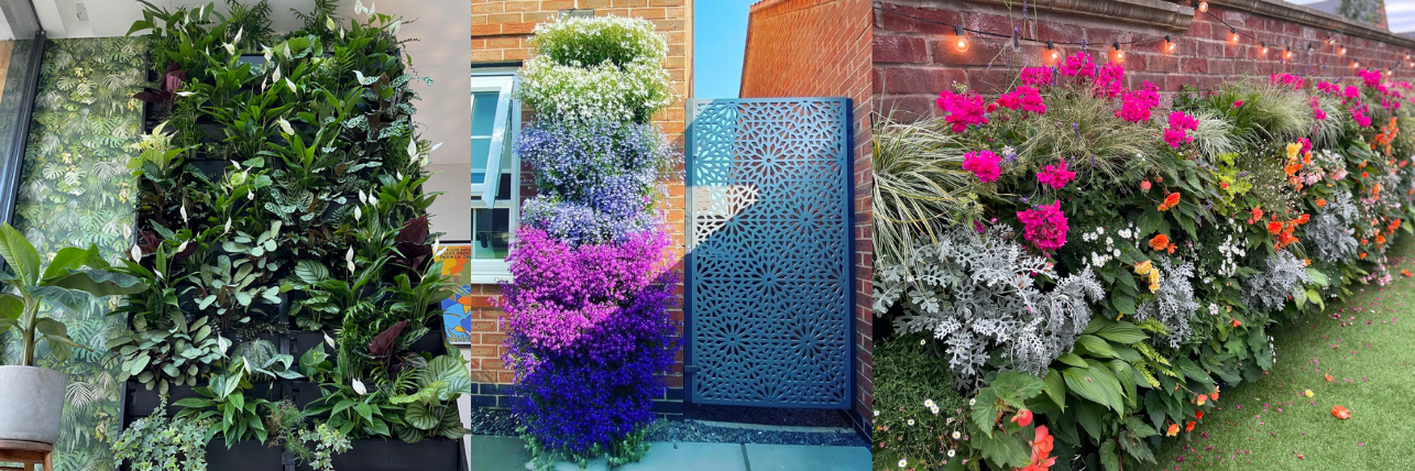 three different living walls