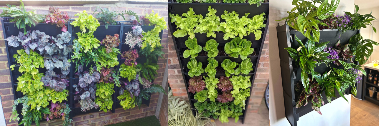 three different living walls