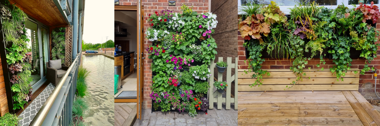 three different living walls