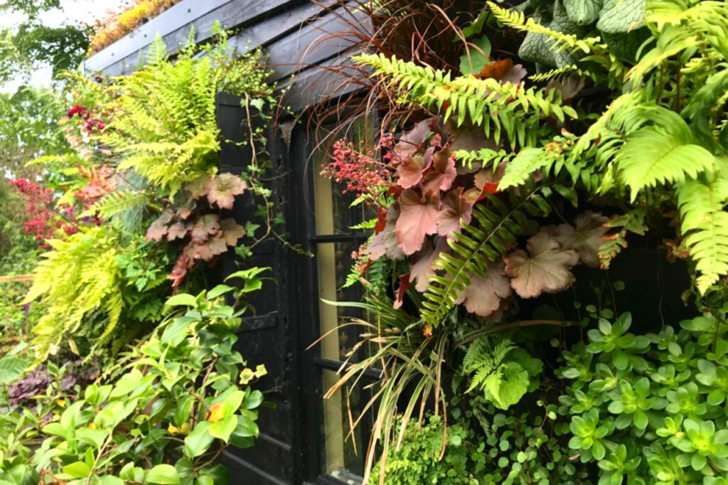 a PlantBox living wall in a shady garden