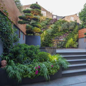 a living wall in a garden