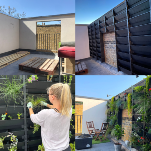 assembling a living wall