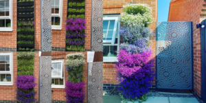 stages of lobelia in a living wall