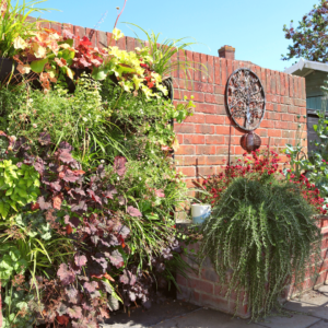 a living wall in a garden