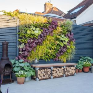 a living wall in a garden