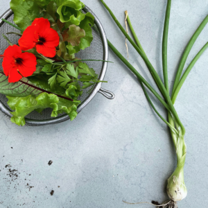 edible flowers 