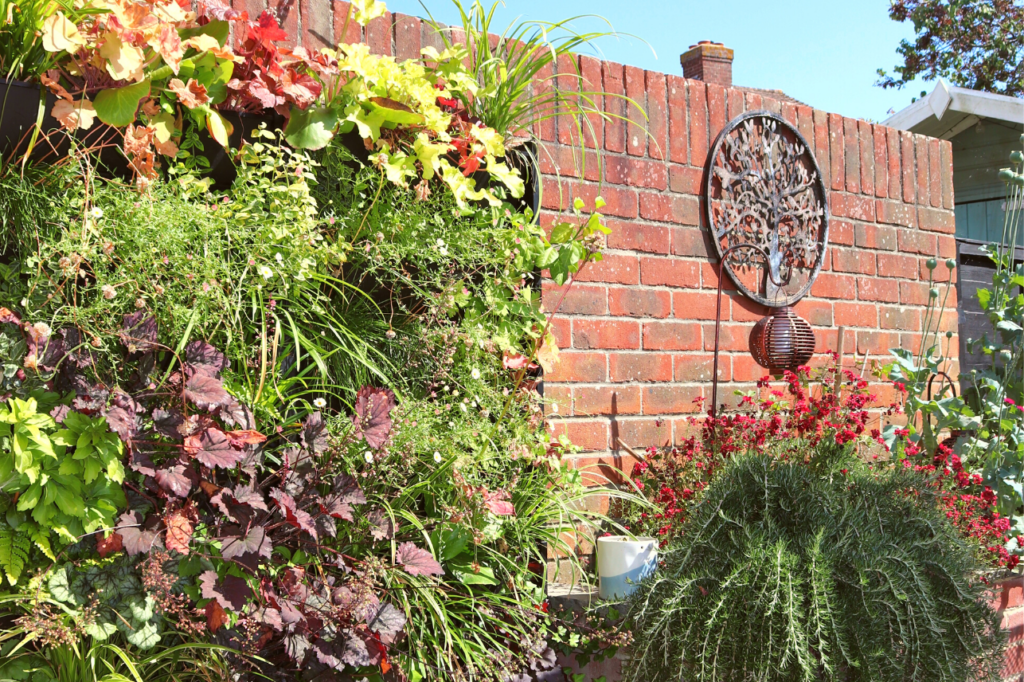 a living wall of plants in the UK heatwave
