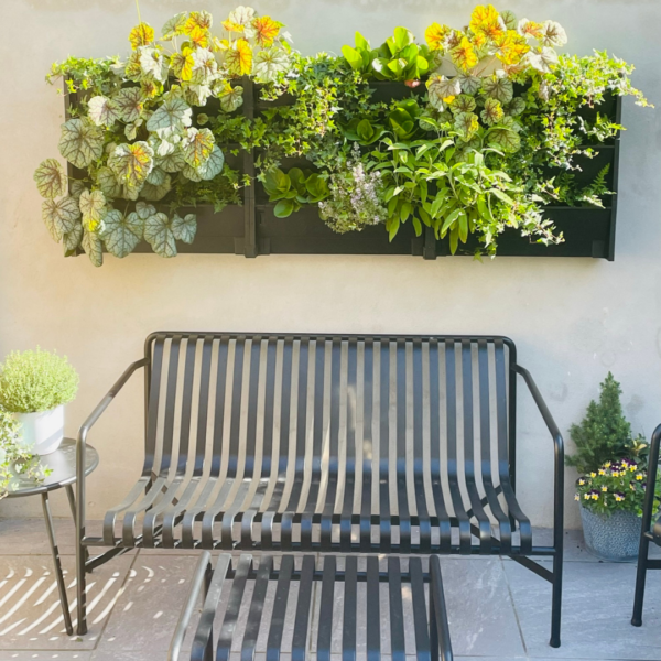 a living wall in a courtyard in summer
