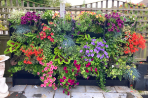 a living wall of plants looking healthy