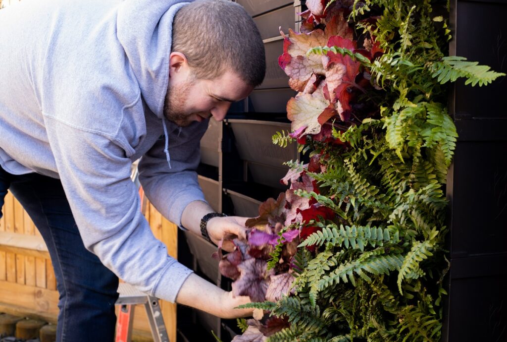Rosewood Living Walls