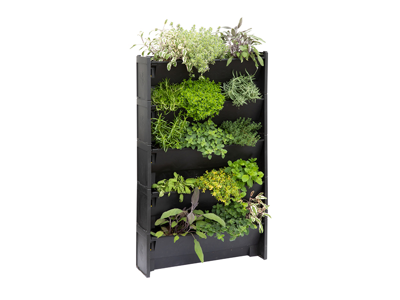 Vertical Garden Kit herbs