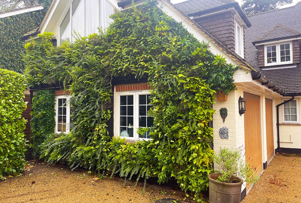 A Greener London Sevenoaks House