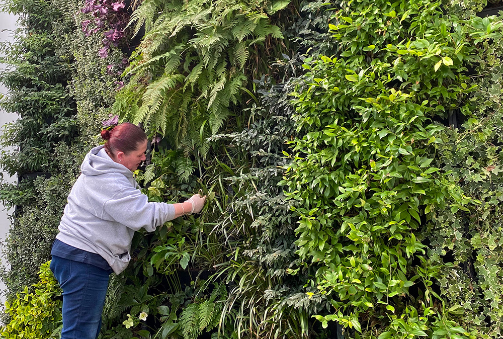 Rosewood Living Walls PlantBlox