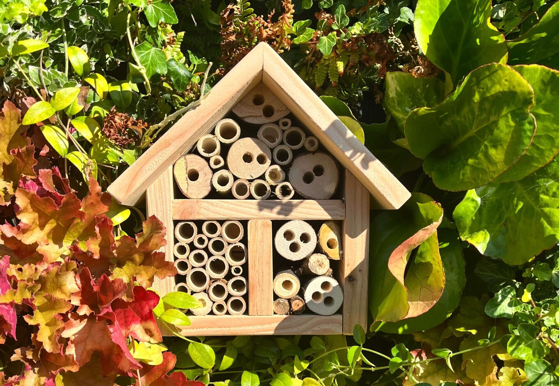 Habitat Box
