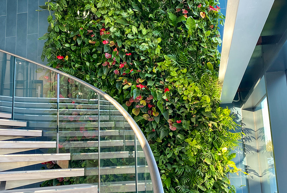 Rosewood Living Walls Office entryway