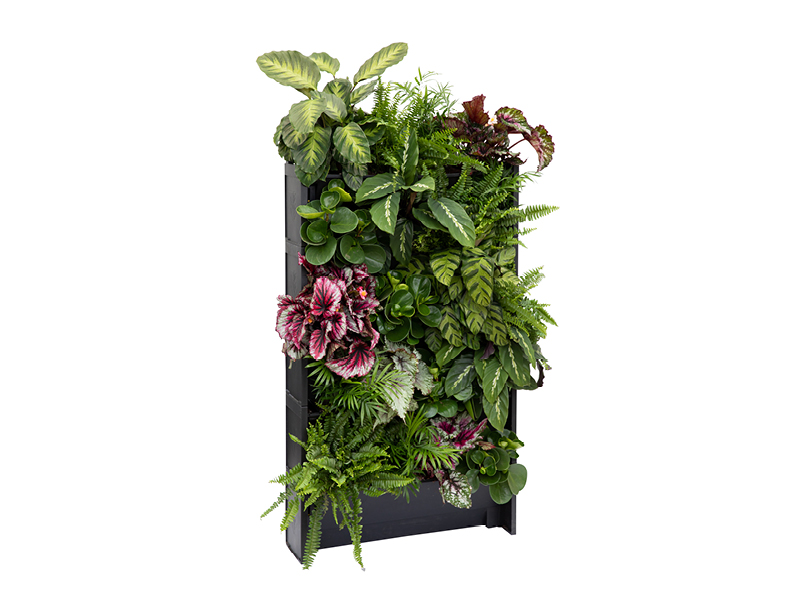 PlantBlox Indoor Jungle